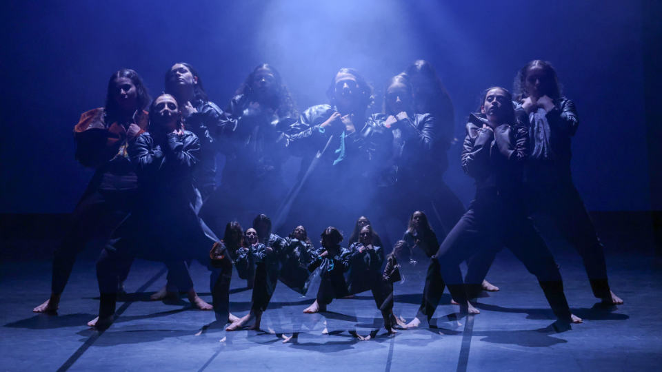 Audition Call For Applications- Skopje / Shtip Dance Academy – Goce Delcev University