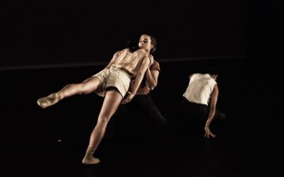 Dance in Art Audition for Dancers Internship
