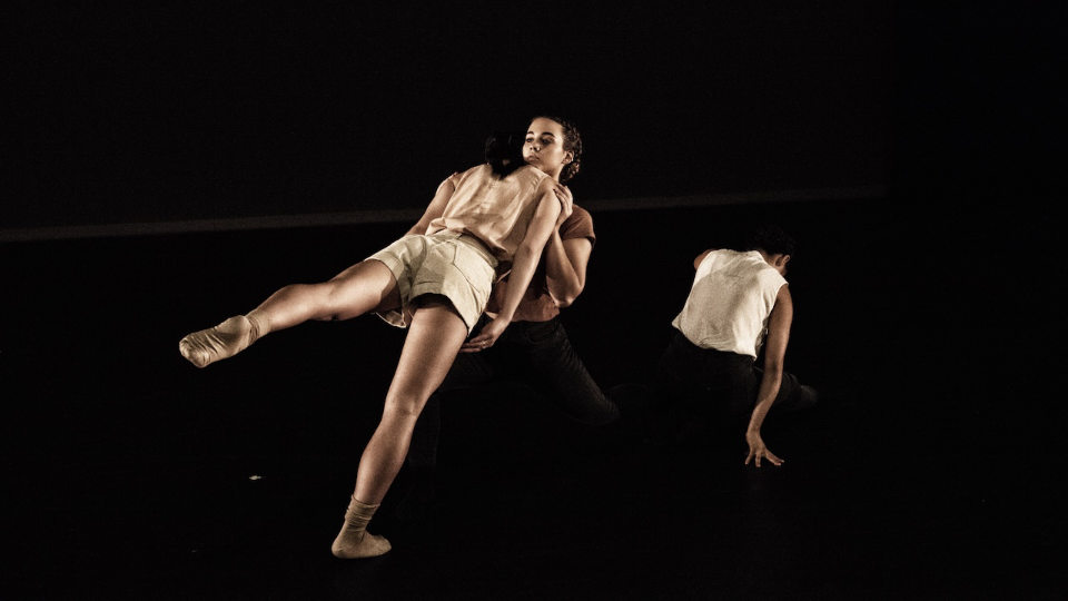 Dance in Art Audition for Dancers Internship