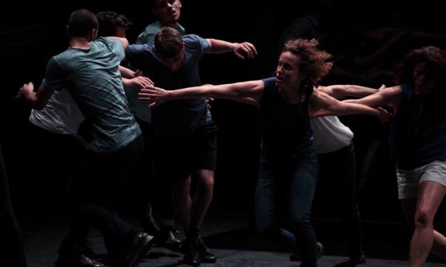 Audition Notice Ballet du Nord