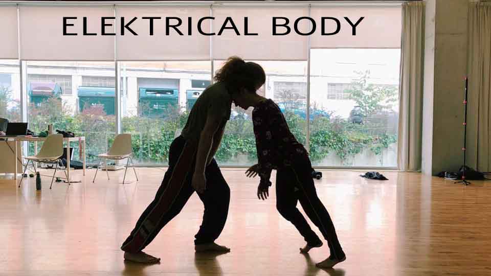 Audition Notice Dinamo Dance