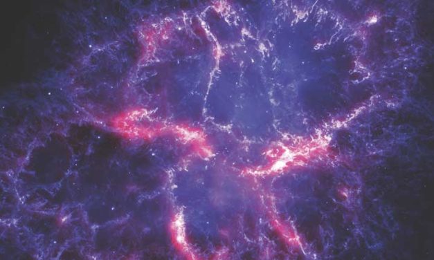 Audition Notice Jack Philp Dance