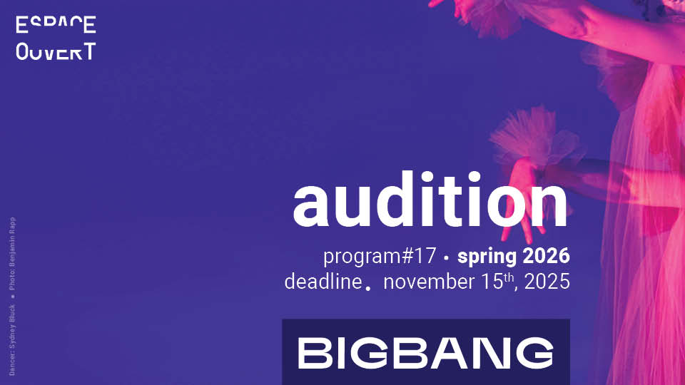 Audition Big Bang Dance Program (Montreal, Canada)
