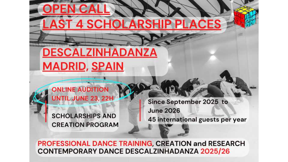 Descalzinhadanza Scholarships 2 Groups Professional Education Programme