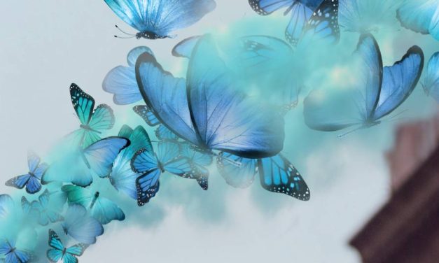 Male Identifying Dancers For Physcial Theatre Production