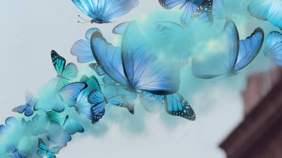 Male Identifying Dancers For Physcial Theatre Production