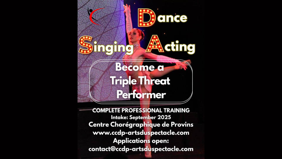 Professional Dance Program Centre Choregraphique de Provins (CCDP)